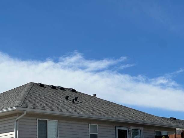 Best Chimney Flashing Repair  in Red Oaks Mill, NY